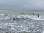     
: IMG_7659.jpg
: 11
:	122.7 
ID:	11681539