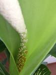     
: IMG_3918.jpg
: 9
:	45.5 
ID:	11683858