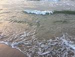     
: IMG_7665.jpg
: 15
:	227.2 
ID:	11686245
