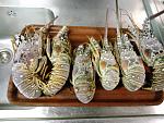     
: IMG_20151207_190501.jpg
: 6
:	152.9 
ID:	11687466