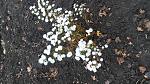     
: 20161124_155135.jpg
: 8
:	199.4 
ID:	11688027