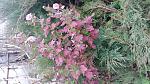     
: 20161124_155222.jpg
: 11
:	195.0 
ID:	11688028
