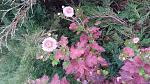     
: 20161124_155230.jpg
: 7
:	203.4 
ID:	11688029