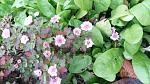     
: 20161124_155327.jpg
: 10
:	126.4 
ID:	11688031