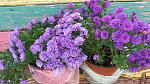     
: 20161016_115617.jpg
: 14
:	223.1 
ID:	11688033