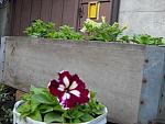     
: DSCN0289.jpg
: 31
:	136.8 
ID:	1168821