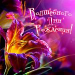     
: image.jpg
: 20
:	80.8 
ID:	11691548