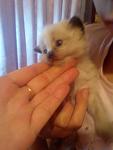     
: IMG_20161115_185039928.jpg
: 17
:	30.6 
ID:	11693053