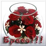     
: i18701.jpg
: 30
:	35.3 
ID:	11694186