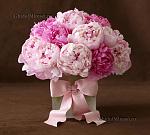     
: 31800_flori_de_nuntacy9bik46em.jpg
: 144
:	33.8 
ID:	11696884