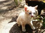    
: _20160911_121557.jpg
: 9
:	225.1 
ID:	11697316