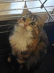     
: P_20161128_151003.jpg
: 22
:	62.1 
ID:	11697529
