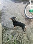    
: IMG_20150604_174811.jpg
: 25
:	169.0 
ID:	11697599