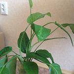     
: 2016-11-29 10.21.47.jpg
: 8
:	127.4 
ID:	11697926