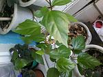     
: 20161129_121423.jpg
: 26
:	64.0 
ID:	11698397