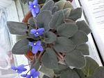     
: 20161129_121411.jpg
: 27
:	50.6 
ID:	11698401