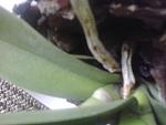     
: 2016-11-30 11-44-43.jpg
: 15
:	108.7 
ID:	11701451