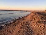     
: IMG_7712.jpg
: 15
:	249.5 
ID:	11704032