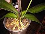     
: IMG_20161201_171947.jpg
: 45
:	144.6 
ID:	11706769