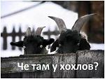     
: IMG_01122016_193841.jpg
: 21
:	36.0 
ID:	11707996
