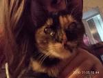     
: JcHtVFzTsdk.jpg
: 18
:	118.3 
ID:	11708260