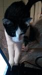     
: 20161126_160152.jpg
: 20
:	52.3 
ID:	11716399