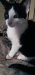     
: 20161126_160137.jpg
: 22
:	46.3 
ID:	11716400