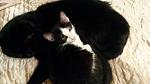     
: 20161203_001001.jpg
: 19
:	79.5 
ID:	11716427