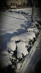    
: 2016-12-04 23.07.39.jpg
: 22
:	65.1 
ID:	11716473