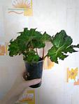    
: viber image2.jpg
: 110
:	62.0 
ID:	11716802