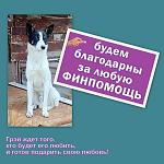     
: грей.jpg
: 85
:	116.3 
ID:	11716929