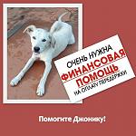     
: Джон.jpg
: 82
:	93.7 
ID:	11716933