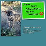     
: Джина.jpg
: 92
:	145.6 
ID:	11716934