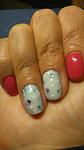     
: DSC_0006_10.JPG
: 6
:	42.3 
ID:	11718744