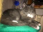     
: IMG_7764.jpg
: 6
:	134.3 
ID:	11719193