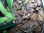     
: 20161206_085728.jpg
: 11
:	224.3 
ID:	11719772