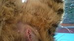     
: DSC_5975.jpg
: 69
:	100.5 
ID:	11720639