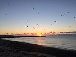     
: IMG_7825.jpg
: 14
:	101.8 
ID:	11724489