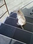     
: HWbZGWSWc5A.jpg
: 32
:	9.8 
ID:	11725600