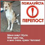    
: Жуля.jpg
: 91
:	102.4 
ID:	11725702