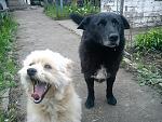     
: DSC00238.jpg
: 9
:	246.0 
ID:	11726059