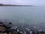     
: IMG_7853.jpg
: 11
:	126.2 
ID:	11727380