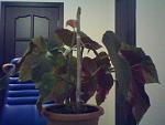     
: WIN_20161206_18_40_35_Pro.jpg
: 23
:	64.5 
ID:	11727467