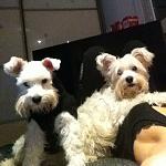     
: Eu111mT5KyQ.jpg
: 42
:	52.1 
ID:	11731019