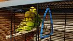     
: 20161207_184811.jpg
: 29
:	117.0 
ID:	11731776