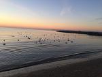     
: IMG_7915.jpg
: 19
:	119.2 
ID:	11740639