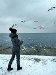     
: IMG_7900.jpg
: 37
:	91.2 
ID:	11742403