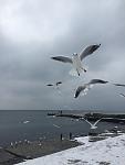     
: IMG_7883.jpg
: 36
:	57.5 
ID:	11742406