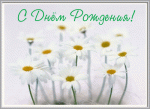     
: ромаш.gif
: 10
:	55.8 
ID:	11749526