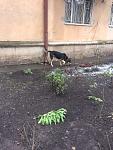     
: IMG_1803.JPG
: 21
:	164.6 
ID:	11754897